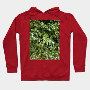 Holly Hoodie